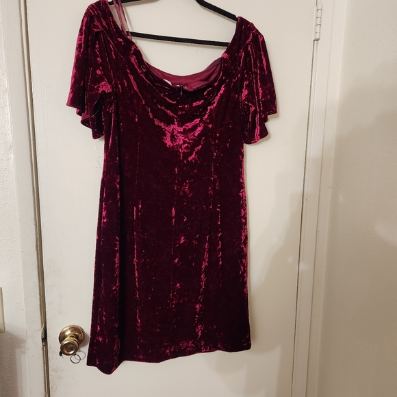 Velvet Dress - Picture 3 of 4